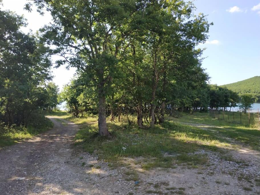 Eftychia’s home-Σπίτι με θέα τη λίμνη Πλαστήρα