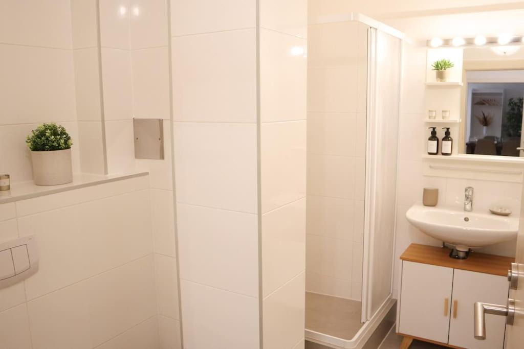 Charming, modern & spacious Apartment