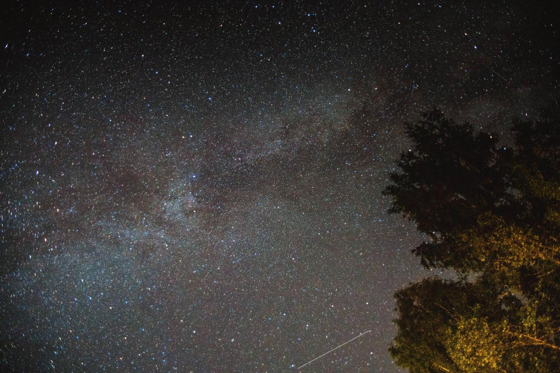 Nature Center Údolí volavek
