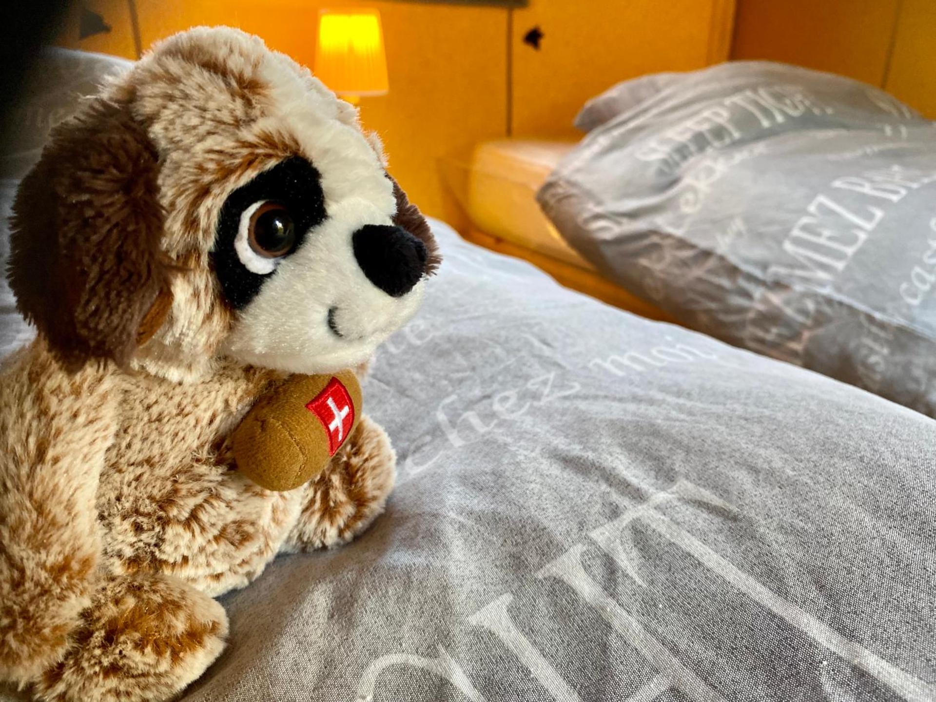 Kabana - eco forest suite