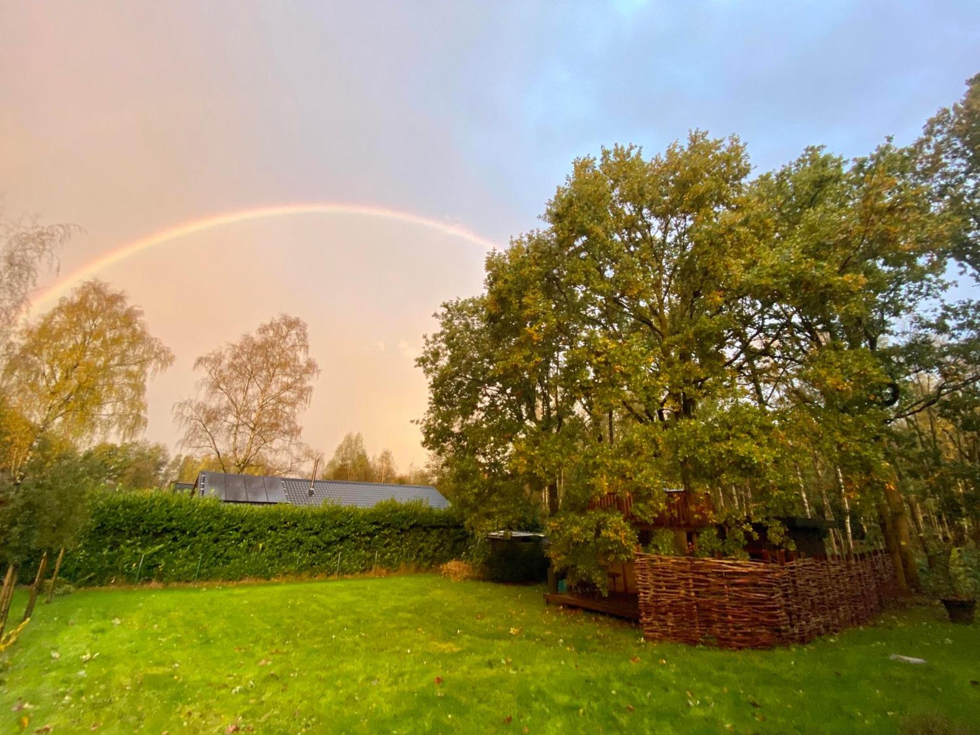 Kabana - eco forest suite