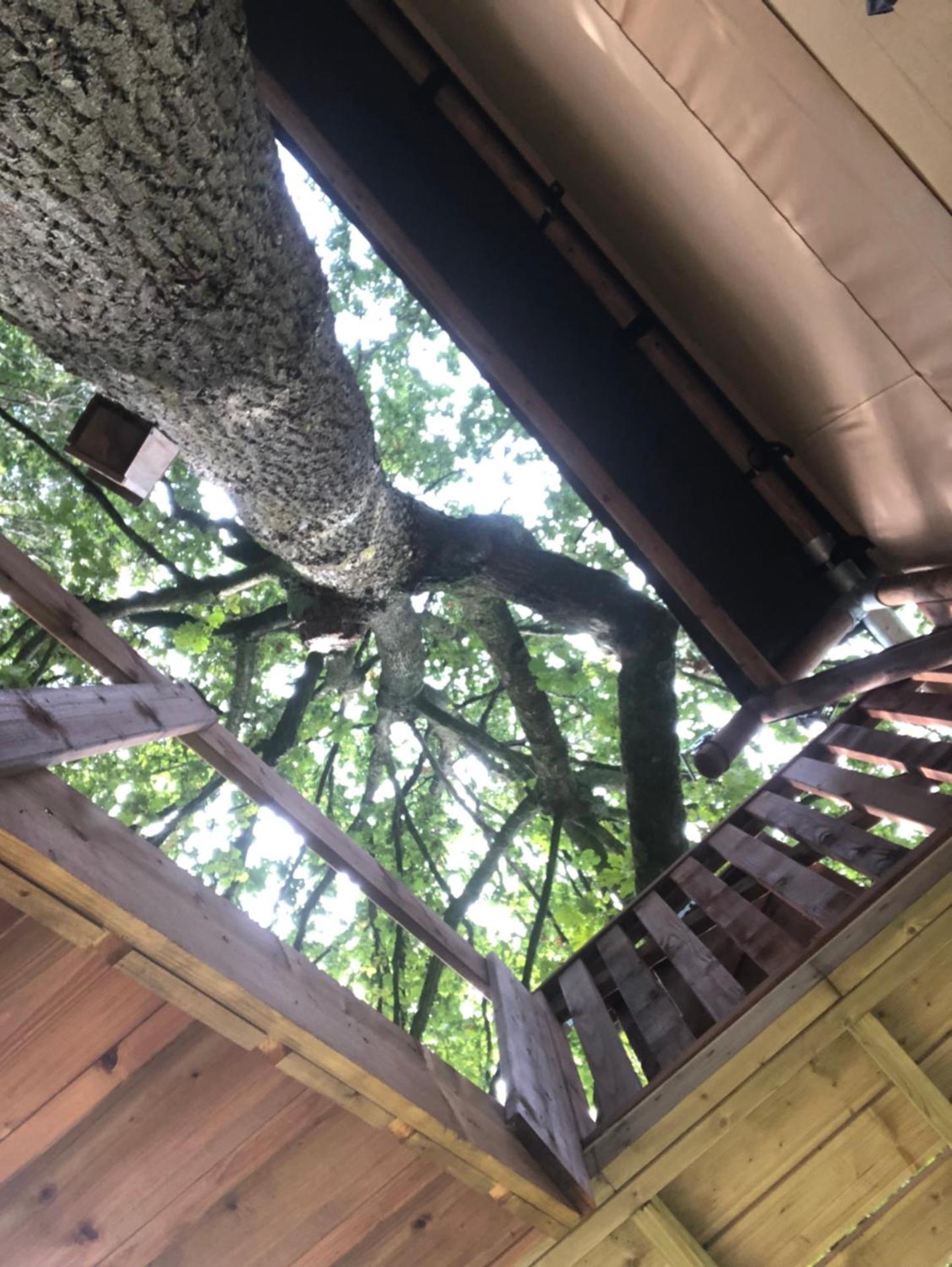 Kabana - eco forest suite