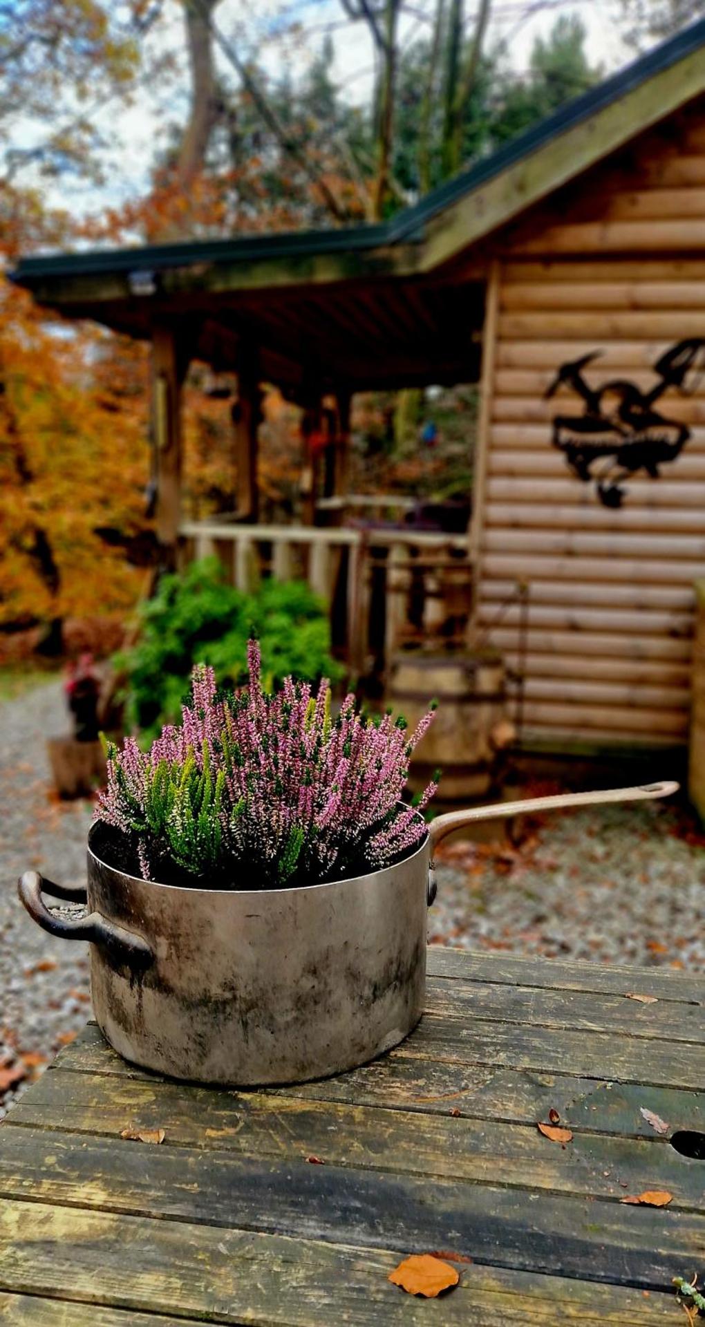The Miners Log Cabin