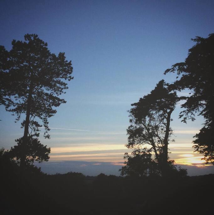 Cedarwood, an intimate and romantic cabin for two.