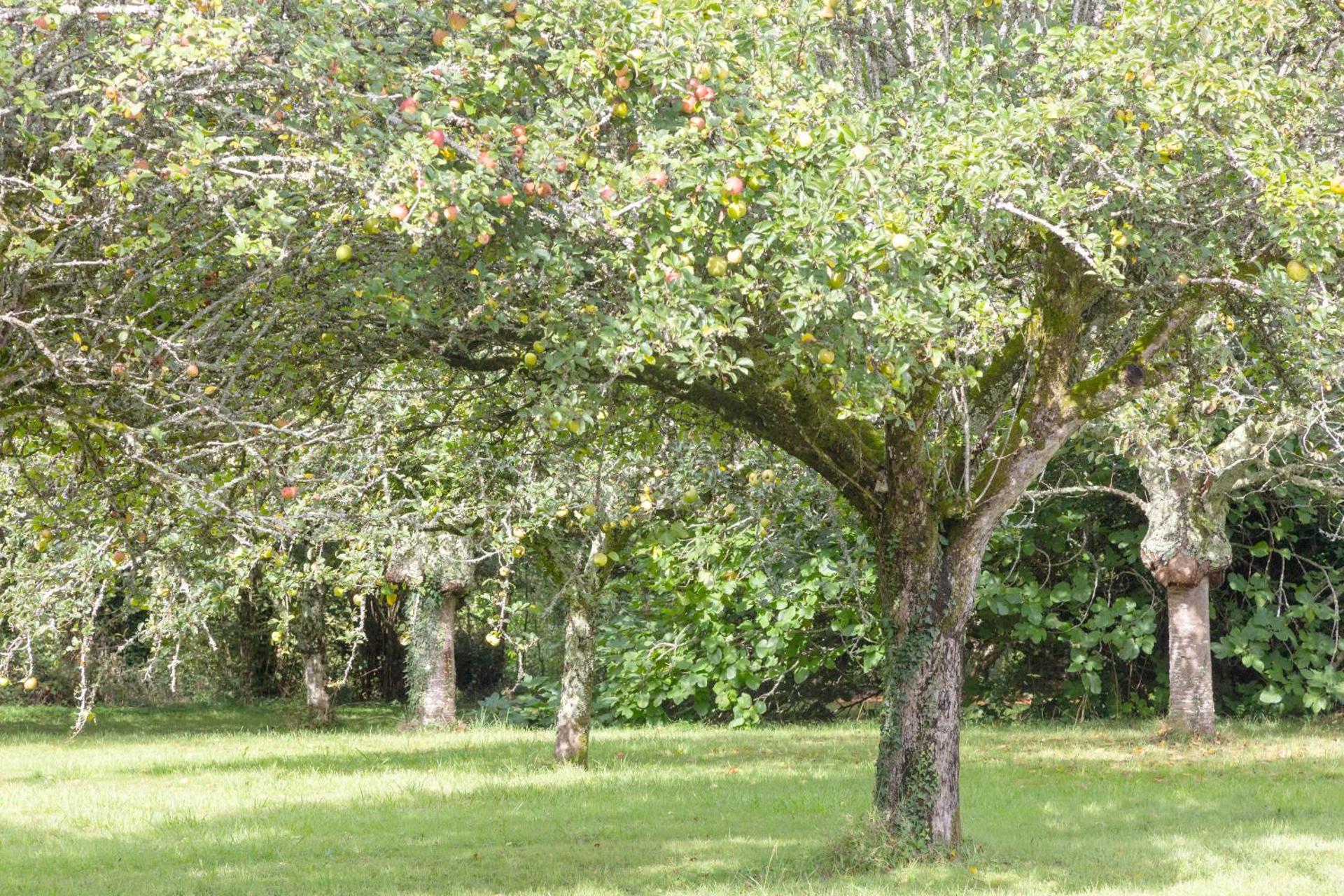 Appartement 100m2 Vilvic vue mer