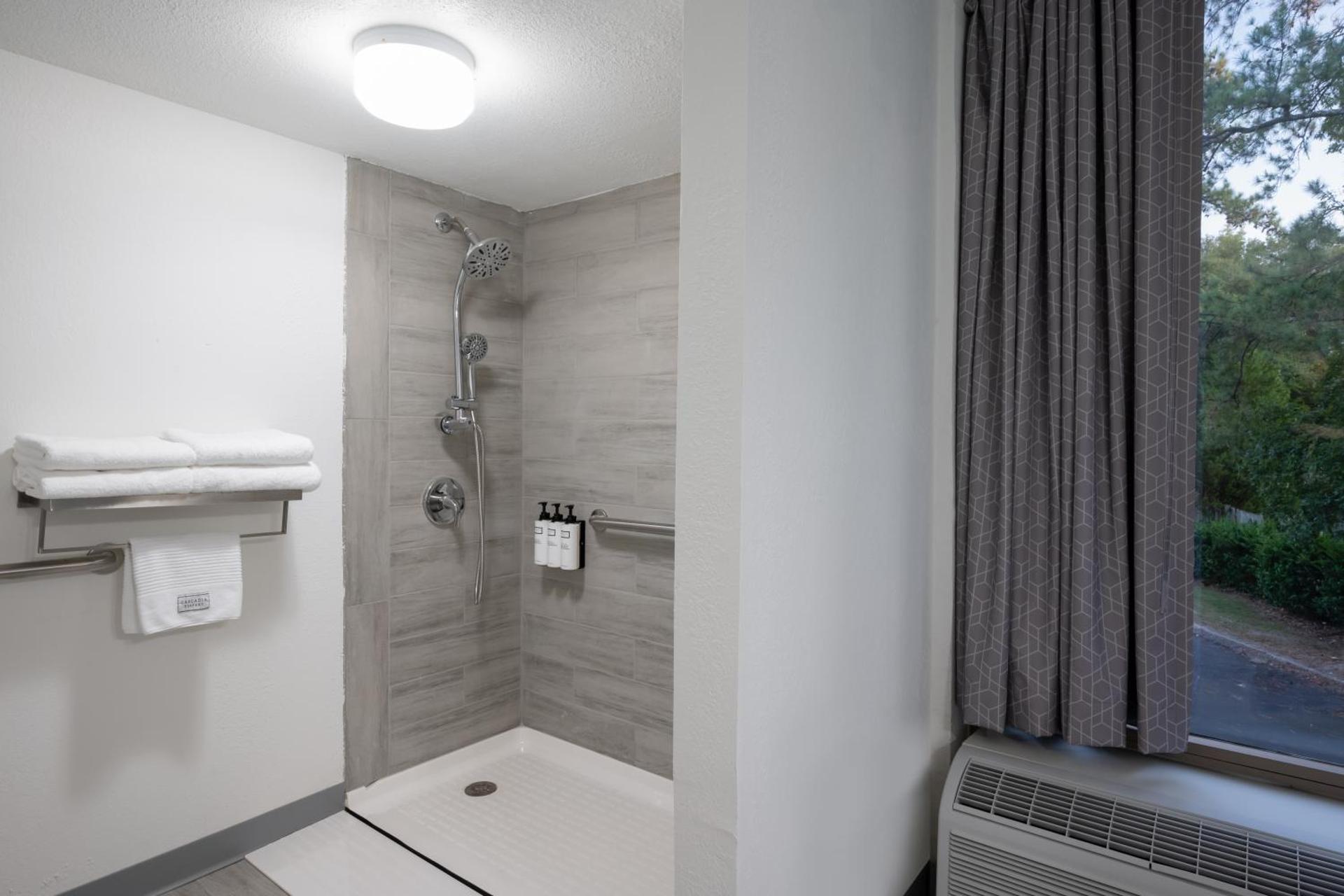 King Suite with Mobility Access and Roll-In Shower, Non-Smoking