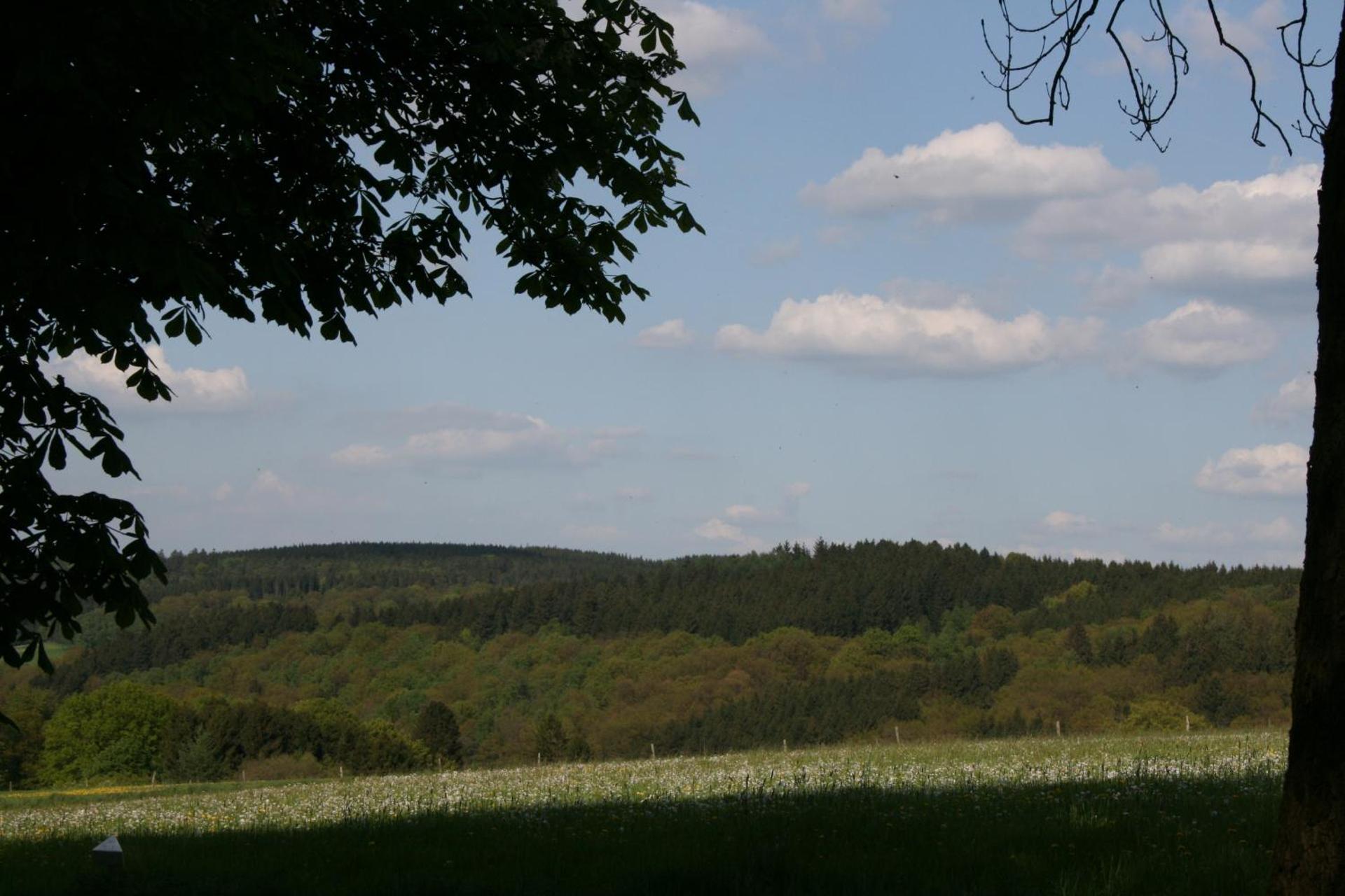 Hotel-Restaurant Haus Berkenbaum