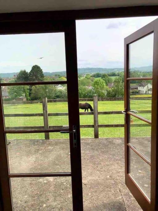 Peaceful Open-Plan Cottage With A View