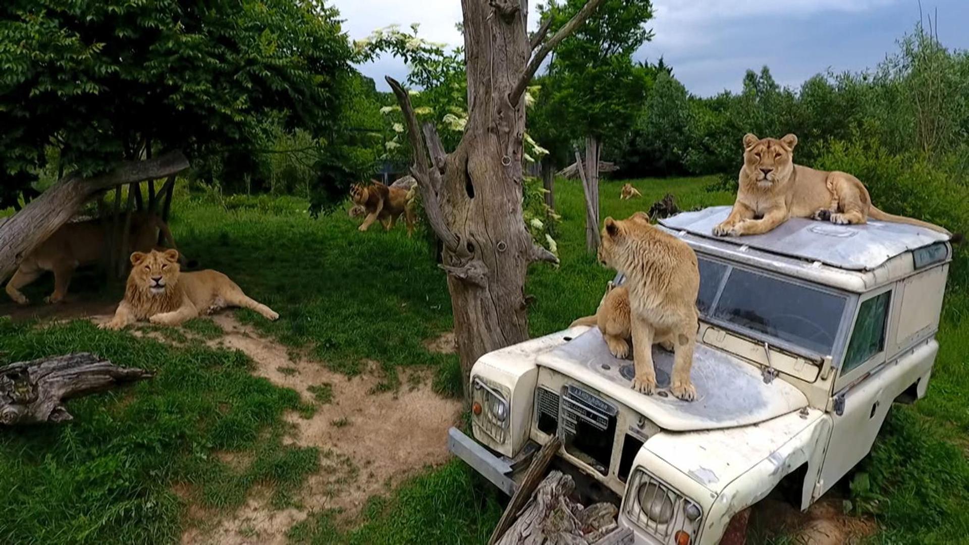 Chambre chez l habitant Audrey