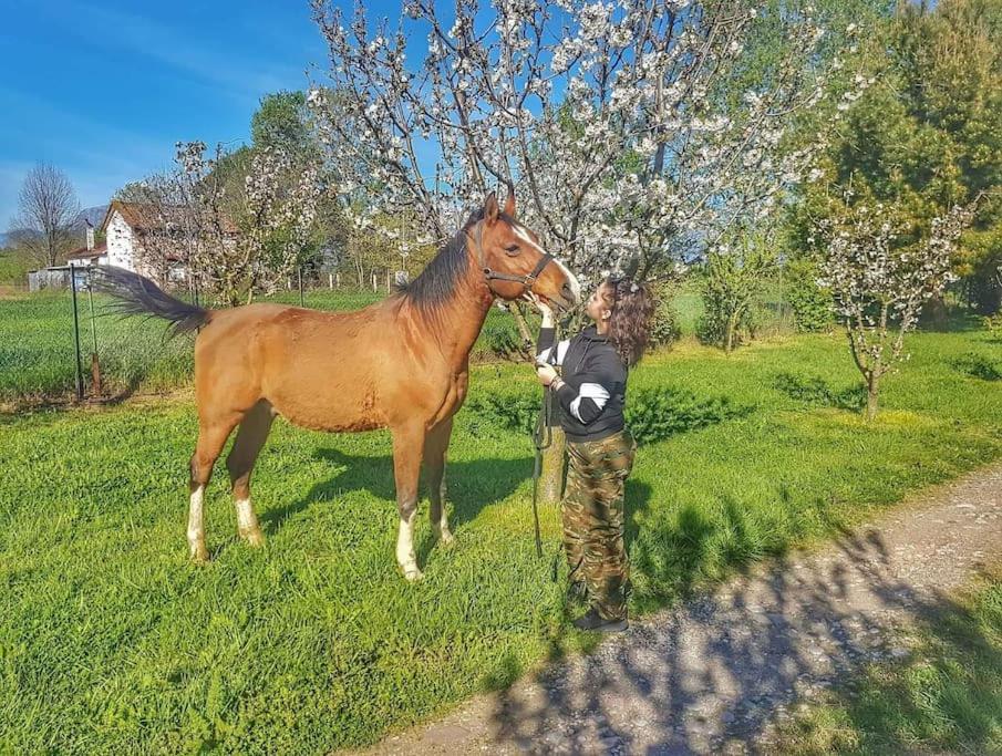 Το σπίτι στο αγρόκτημα