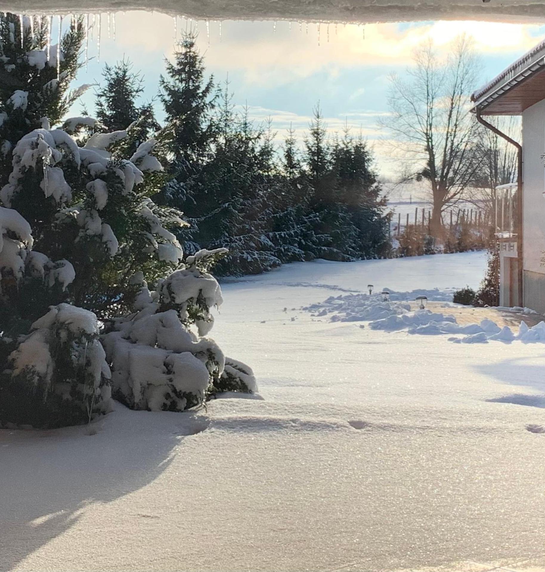 Apartamenty Euphoria