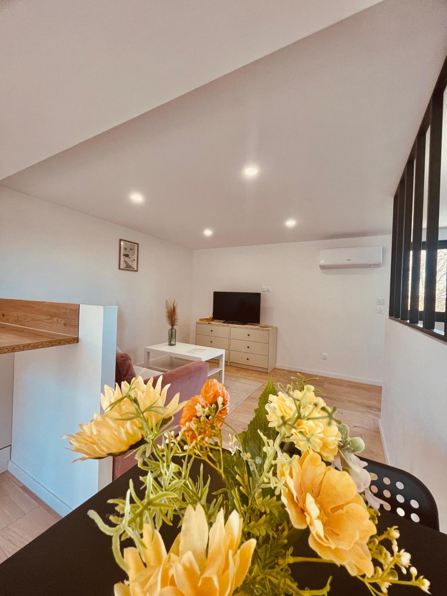 T1 bis rénové au centre d’Auch