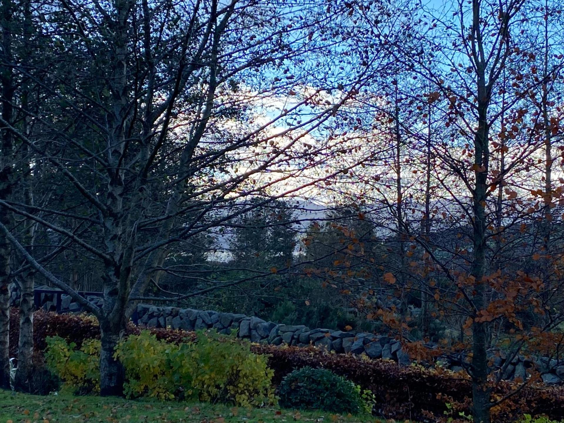 Rostrevor Valley House -Mountainside Hot Tub View