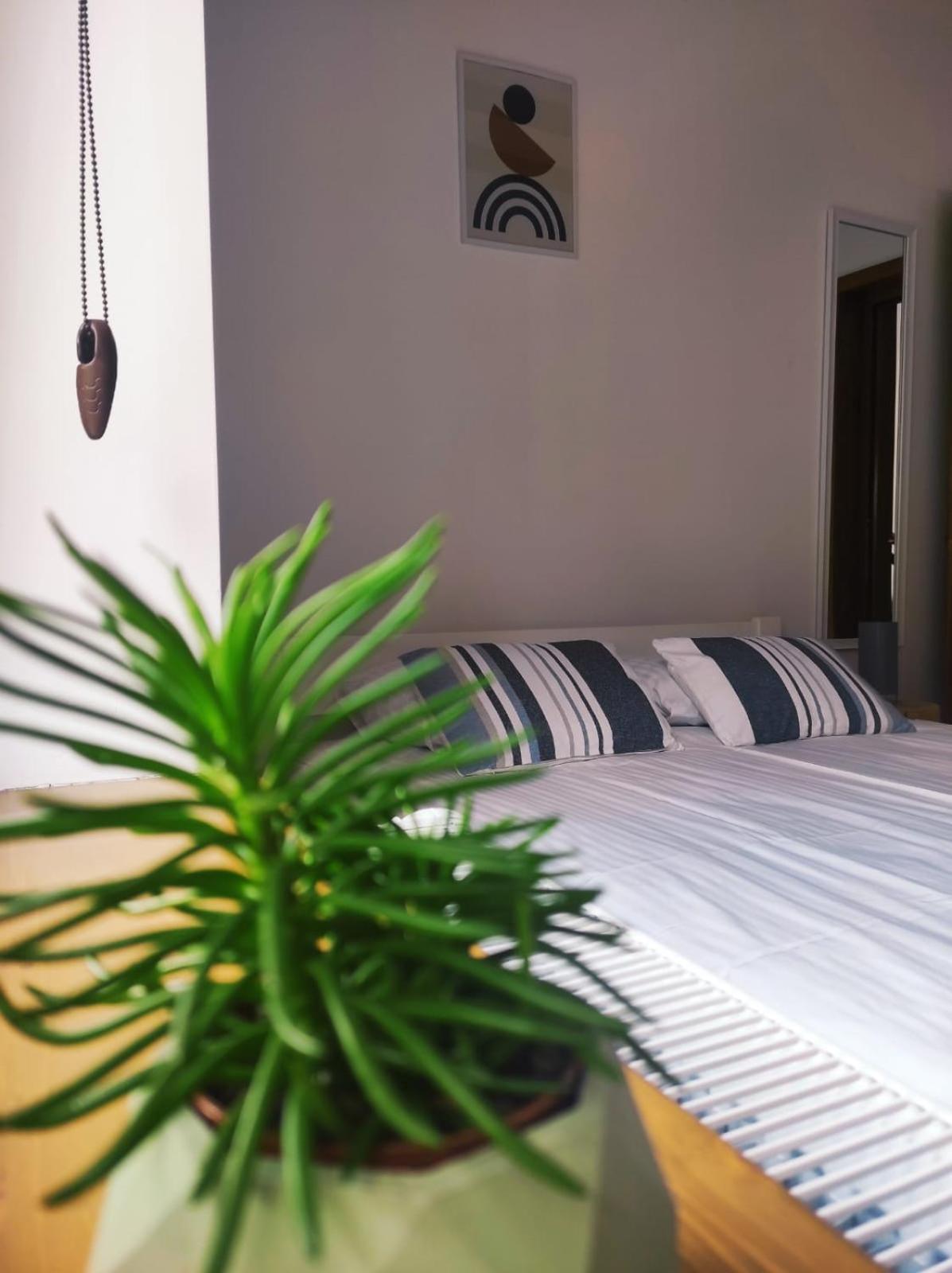 Pensiunea Violin Panzió