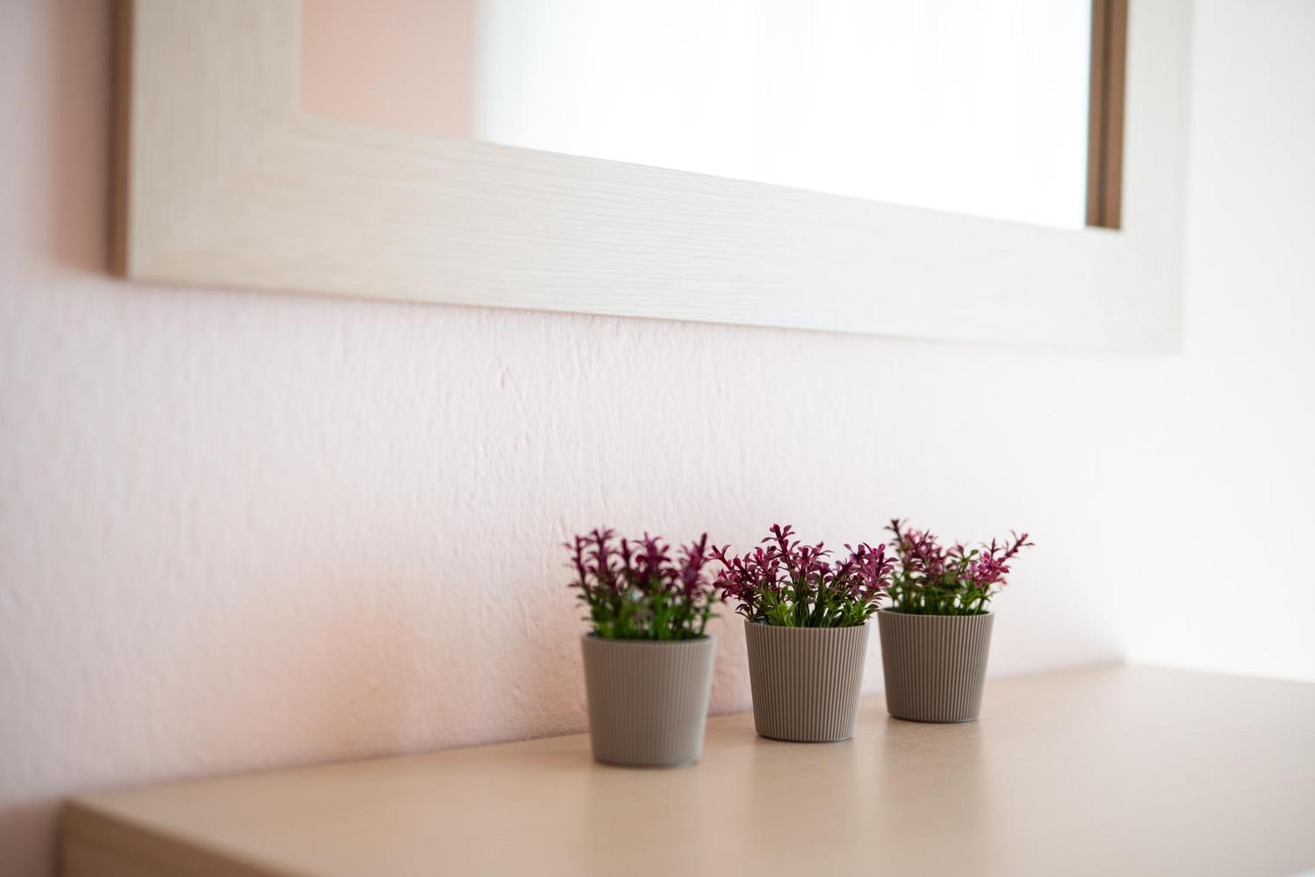 N&K Dream View Apartment