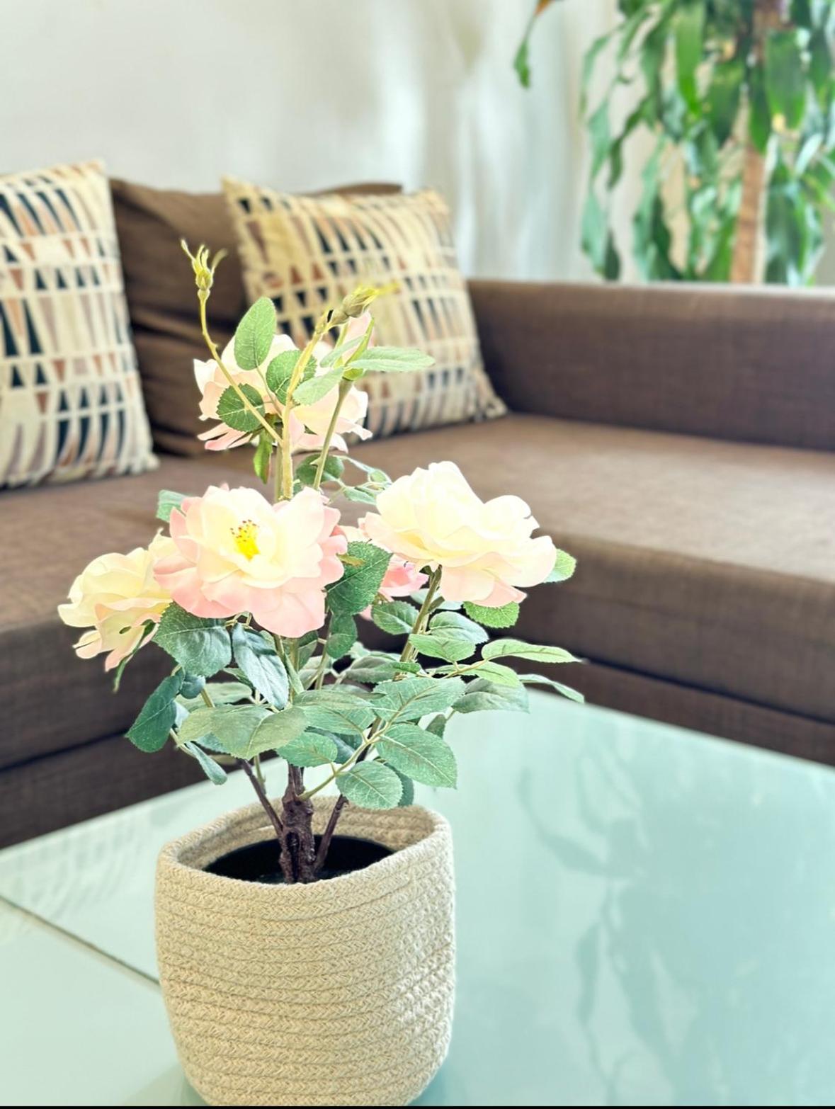 Appart design, plein centre Marseille