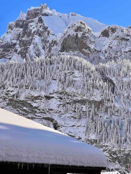 Peacefull Mountains View