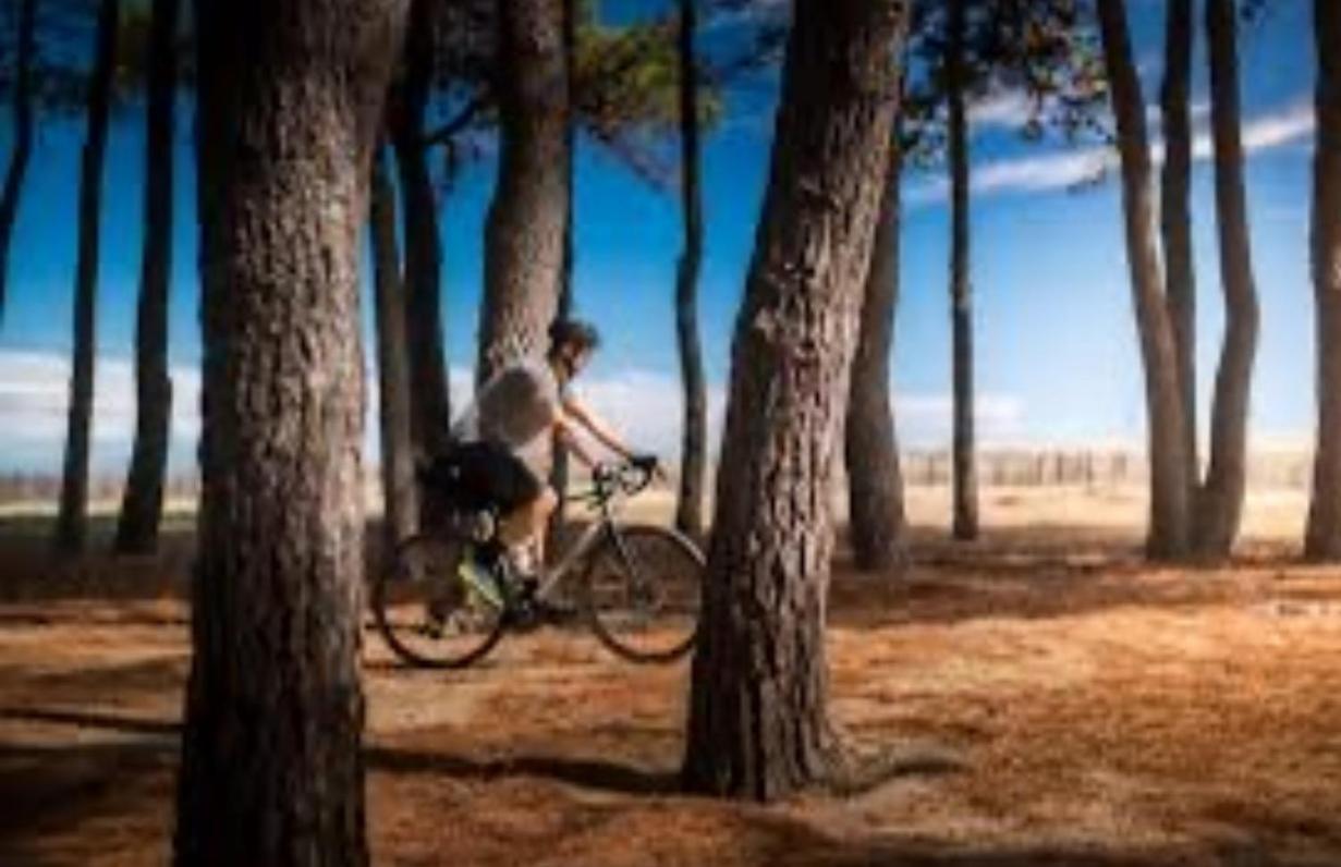 Les pieds dans le sable