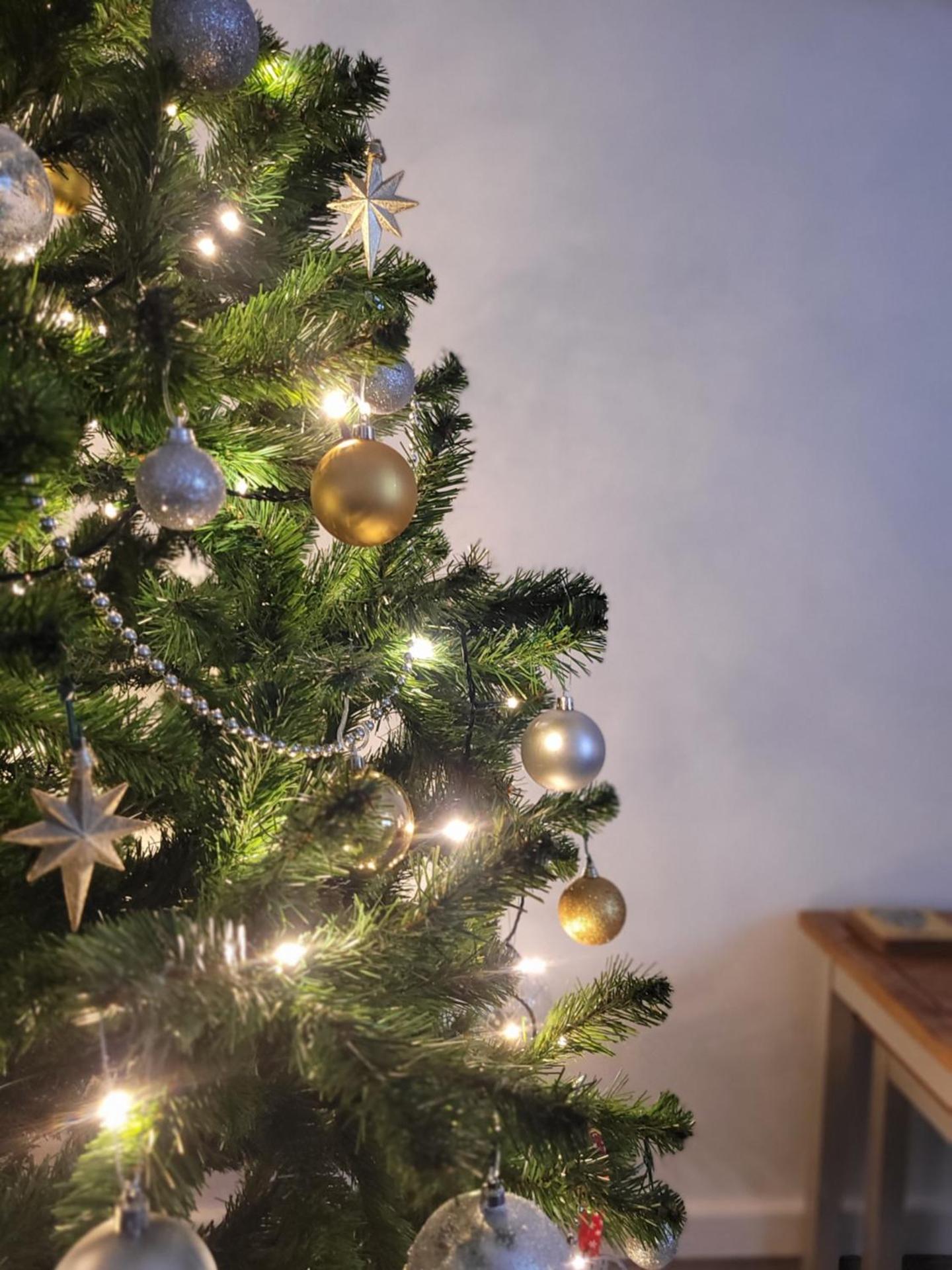 Cottage by the river in Cenarth with fishing and Wifi