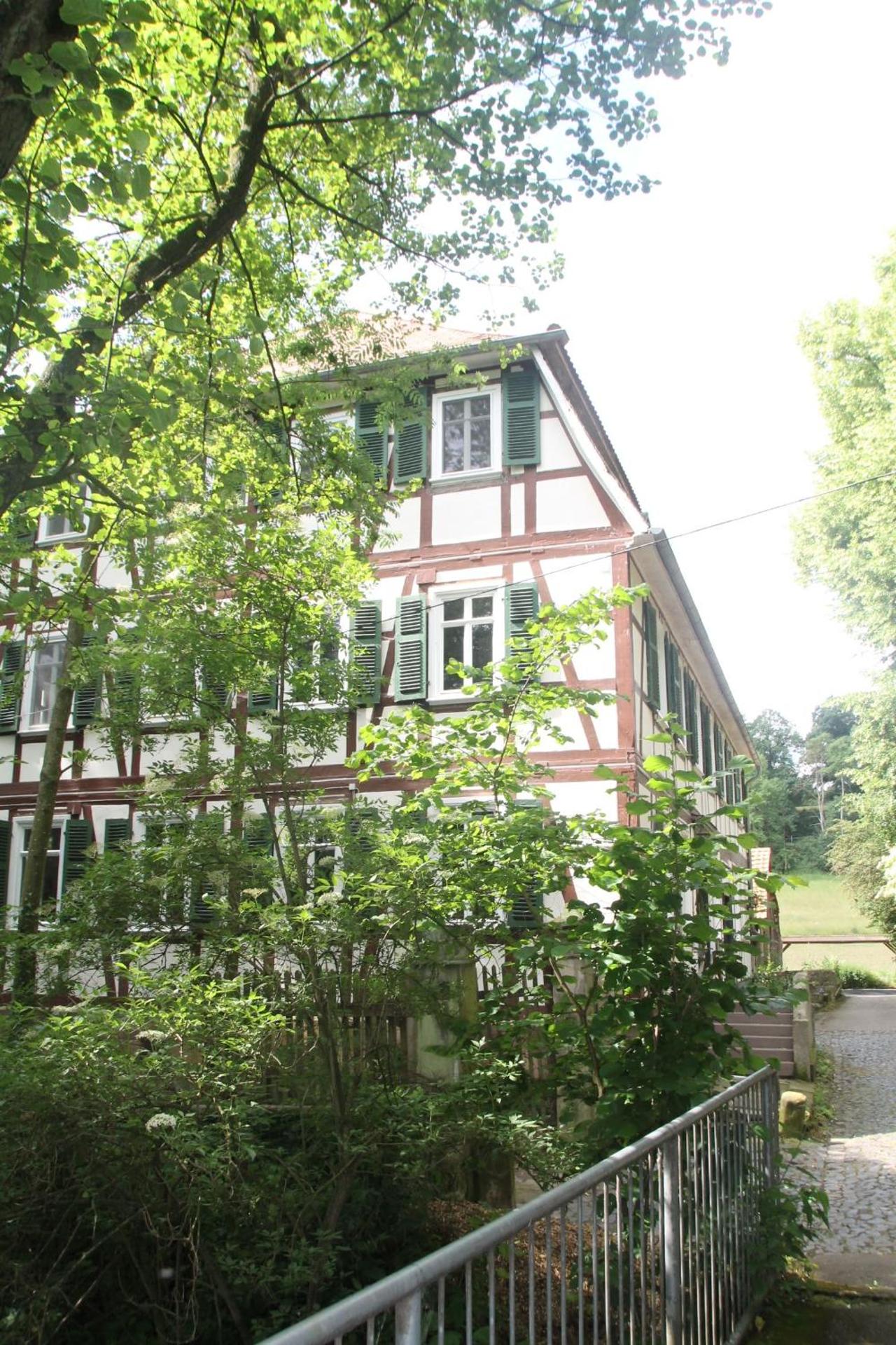 Ferienwohnung Mühlradblick
