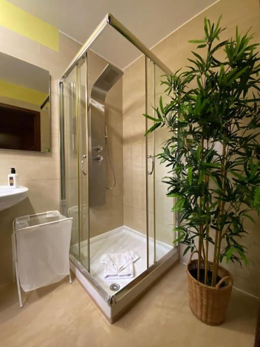 El Olivar Paraíso Playa