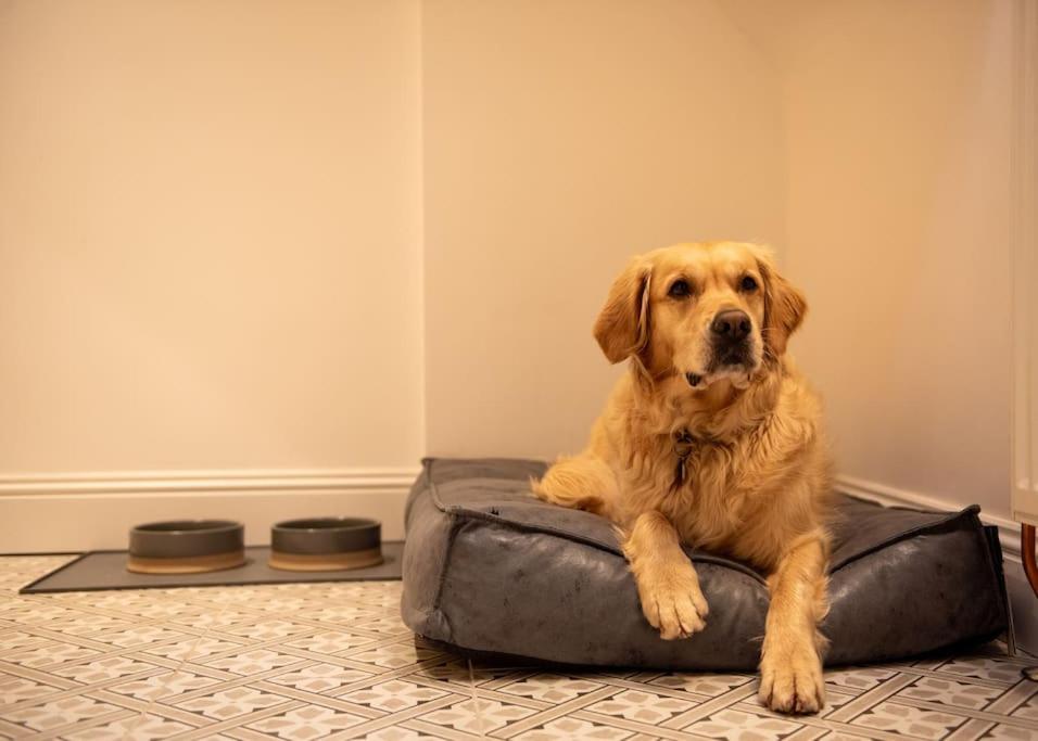 The Stylish 3-Bedroom Maisonette Retreat