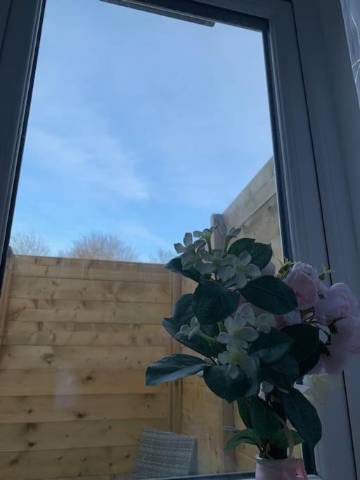 Annex A, a one bedroom Flat in south London