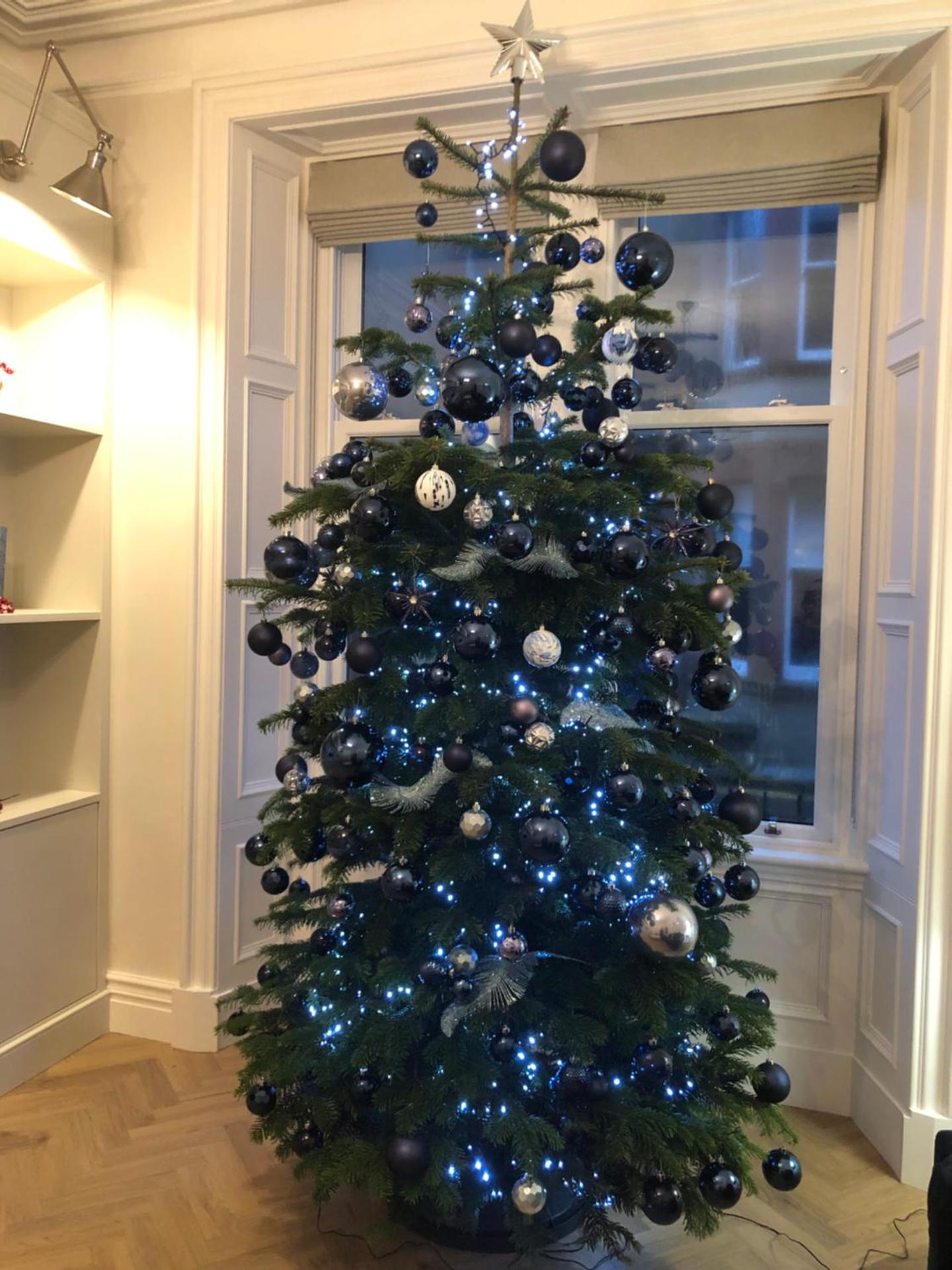 Next To The Beach - North Berwick