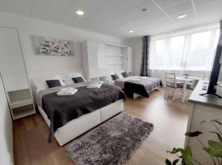 Penzion Wellness Chechluvka