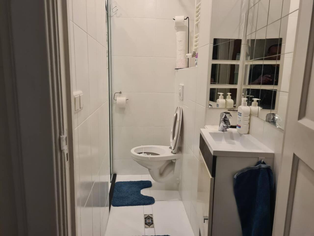 Nice 2 double Bed in sunny House in Amsterdam west