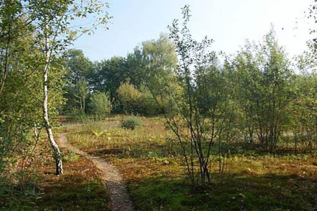 Sfeervol chalet midden in de natuur