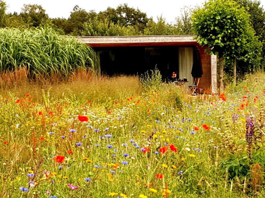 Sfeervol chalet midden in de natuur