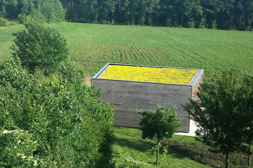 Sfeervol chalet midden in de natuur