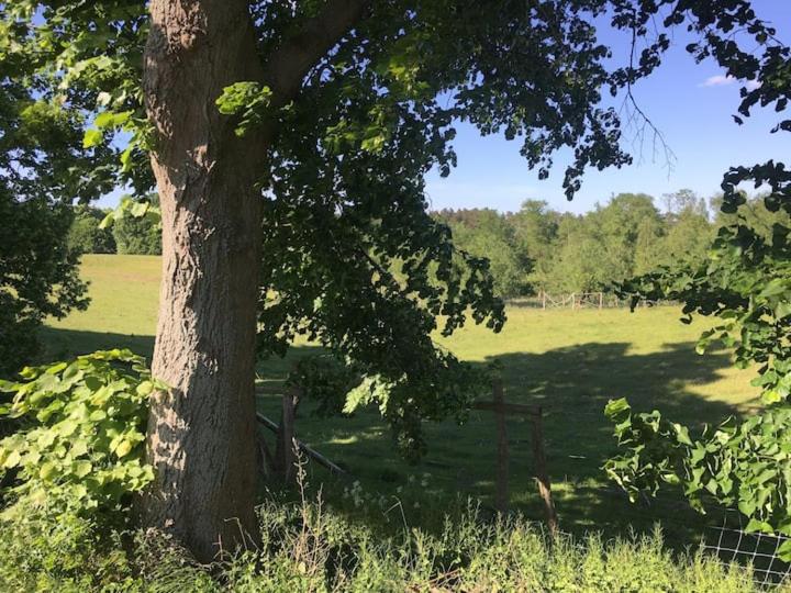 Im Naturschutzgebiet gelegene Ferienwohnung
