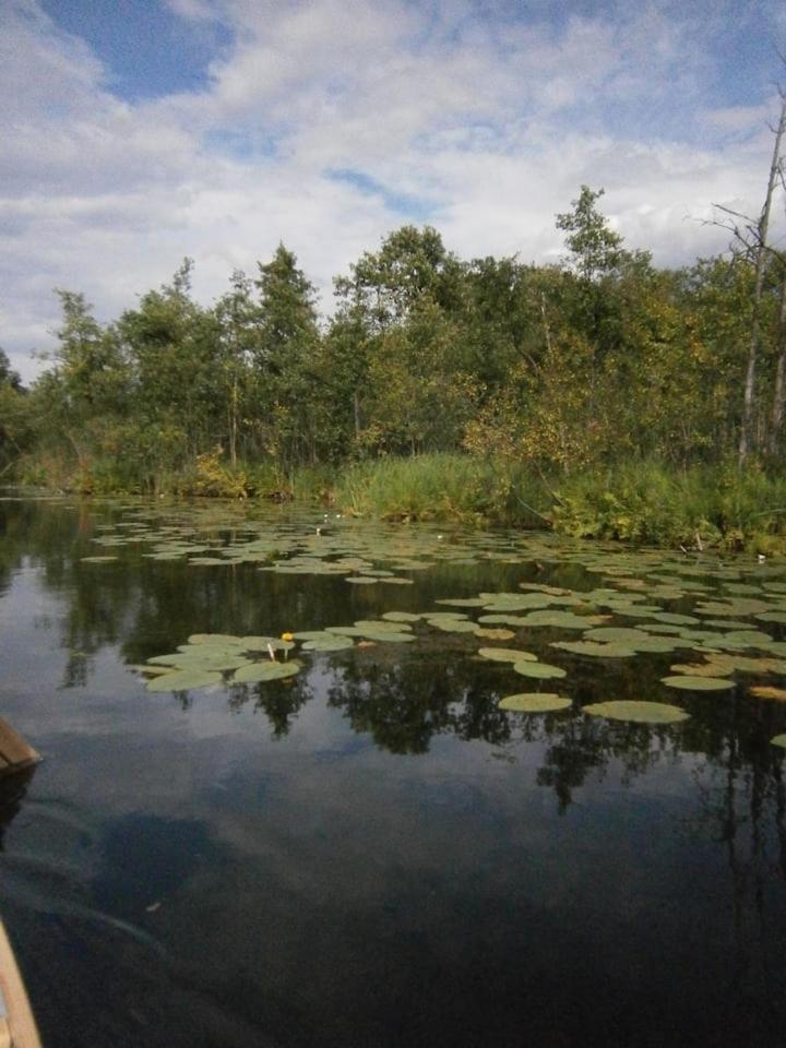 Im Naturschutzgebiet gelegene Ferienwohnung