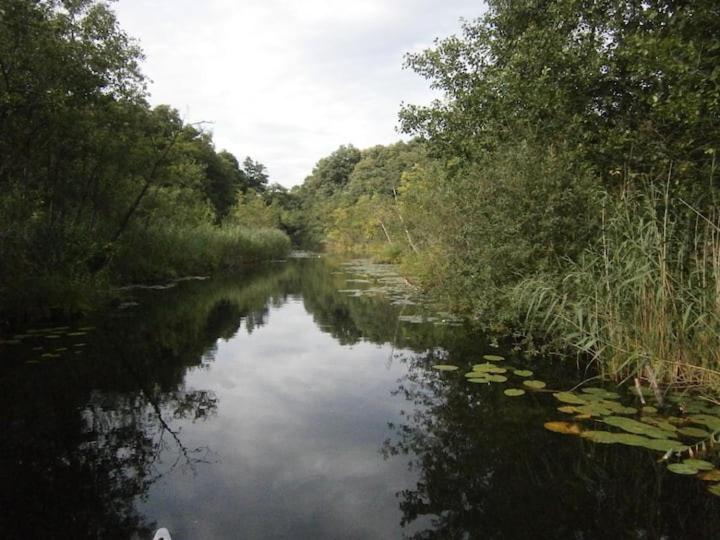 Im Naturschutzgebiet gelegene Ferienwohnung