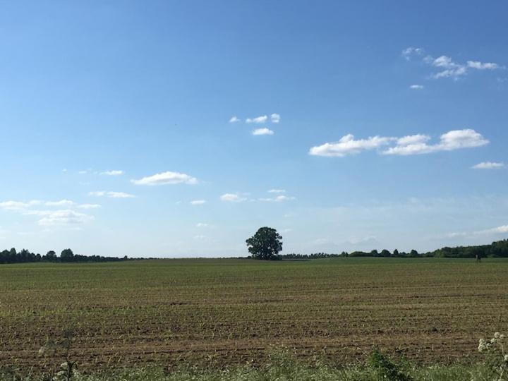 Im Naturschutzgebiet gelegene Ferienwohnung