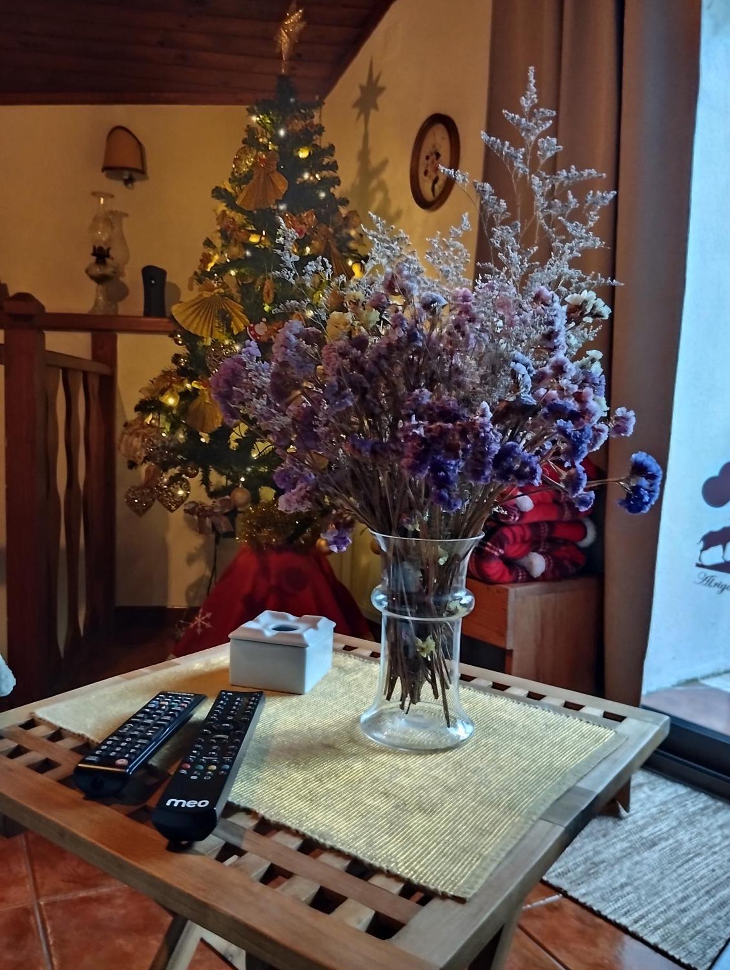 ABRIGO DO CABECINHO - SERRA DA ESTRELA