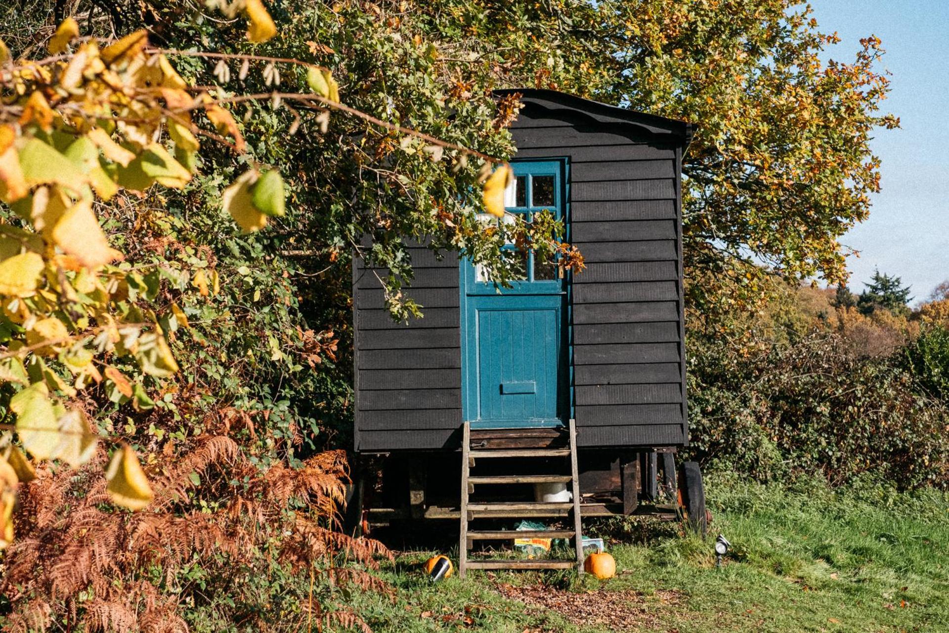 Beautiful, Secluded Shepherd's Hut in the National Park