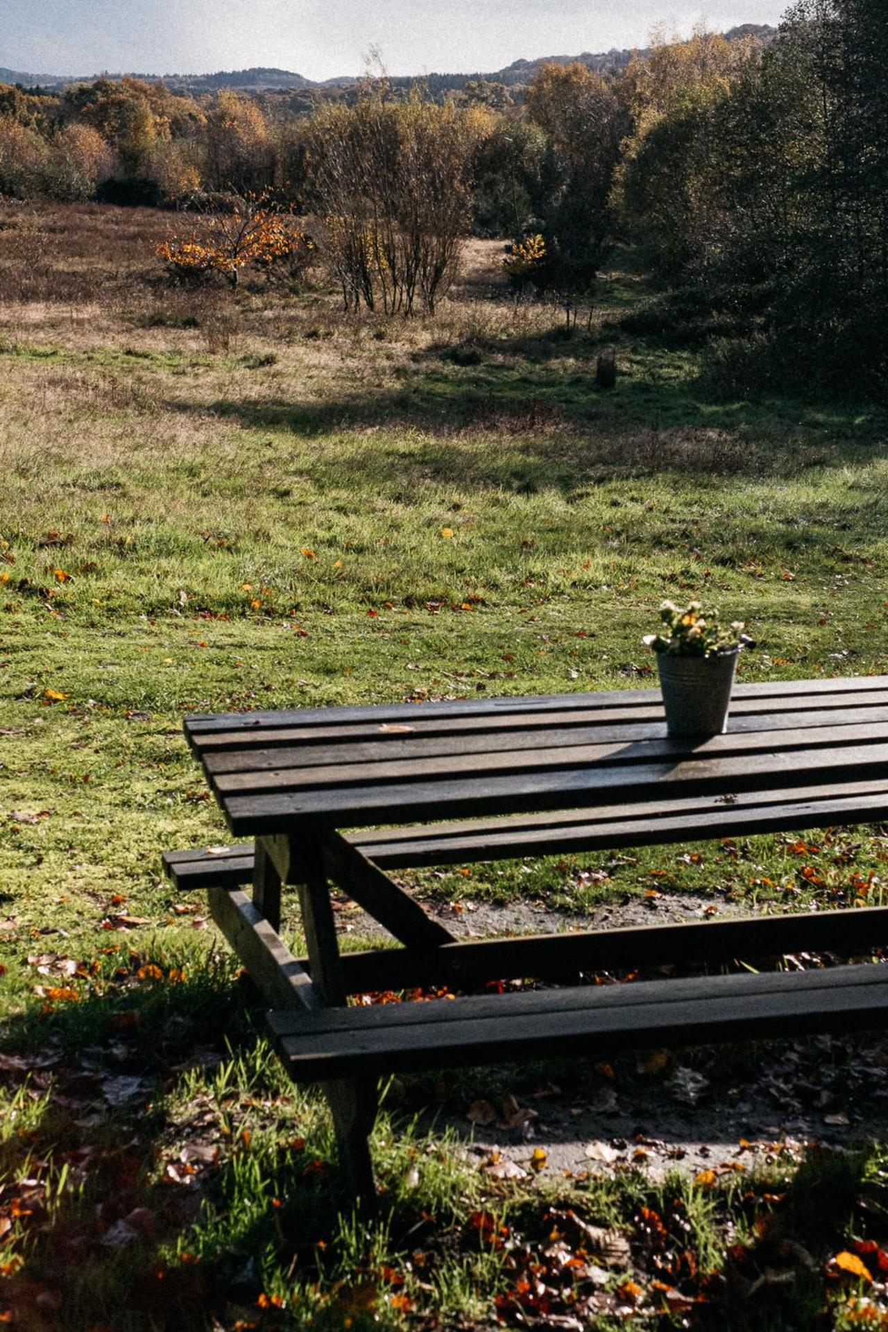 Beautiful, Secluded Shepherd's Hut in the National Park