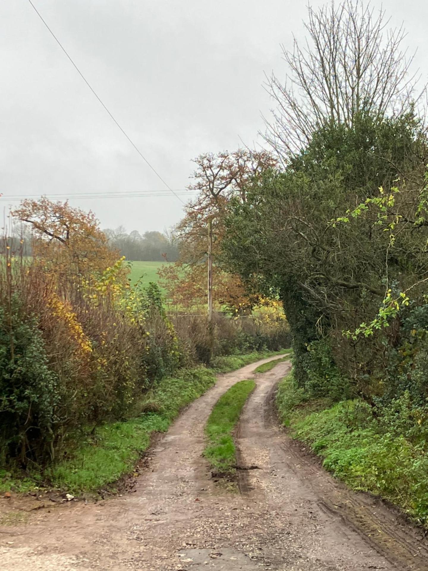 Honeysuckle Cottage -PART OF ALTON COTTAGES