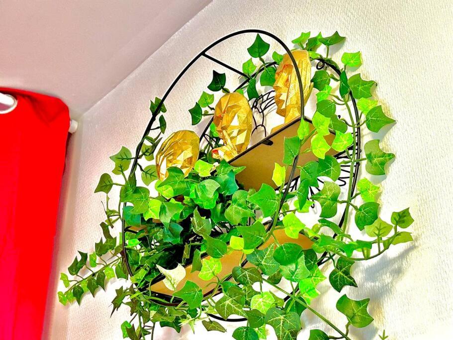 L’atelier des rêves, jacuzzi