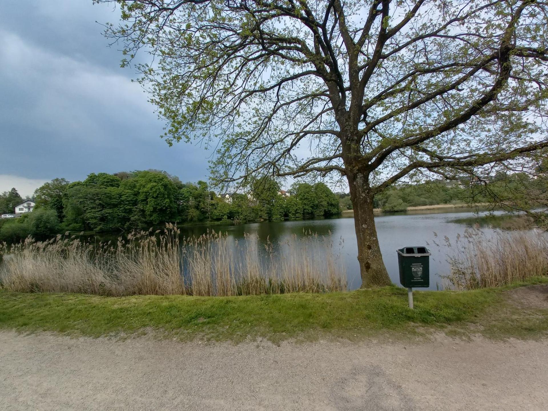 Ap5 Nature Ardennes Economy class apartment