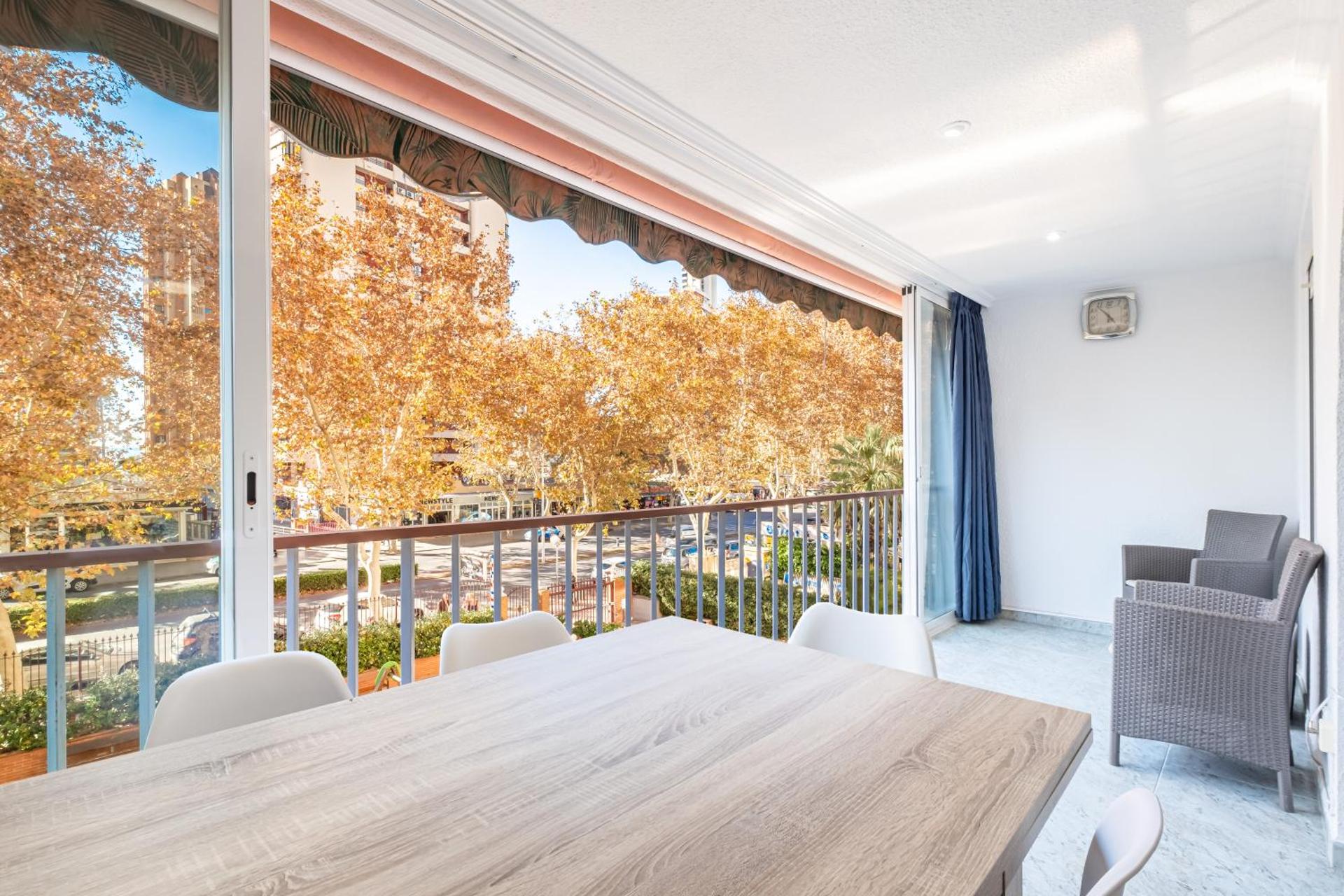 View (from property/room)