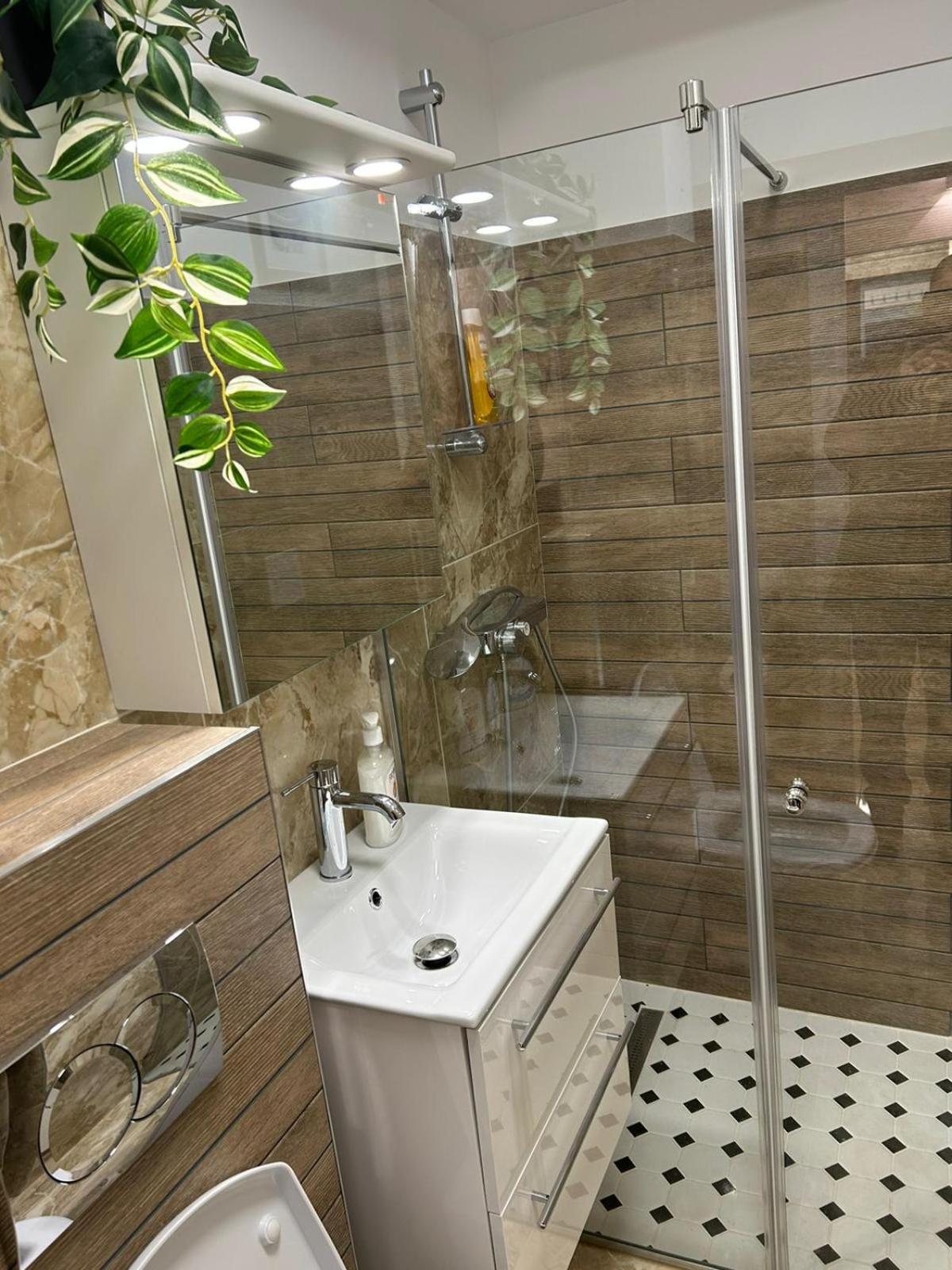 Alex Apartament Central