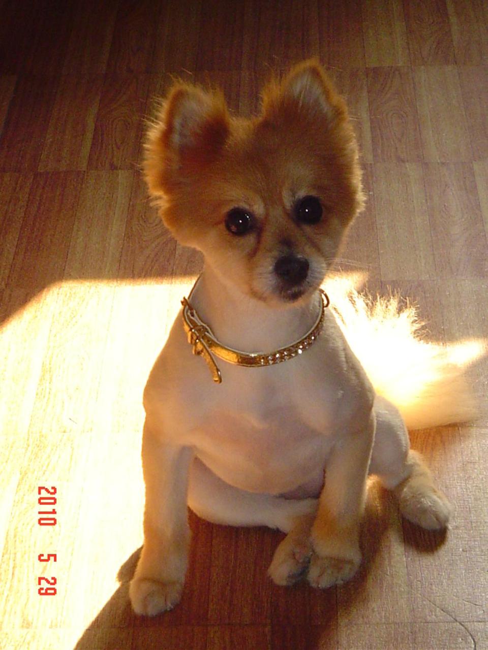 Men House JFK Airport