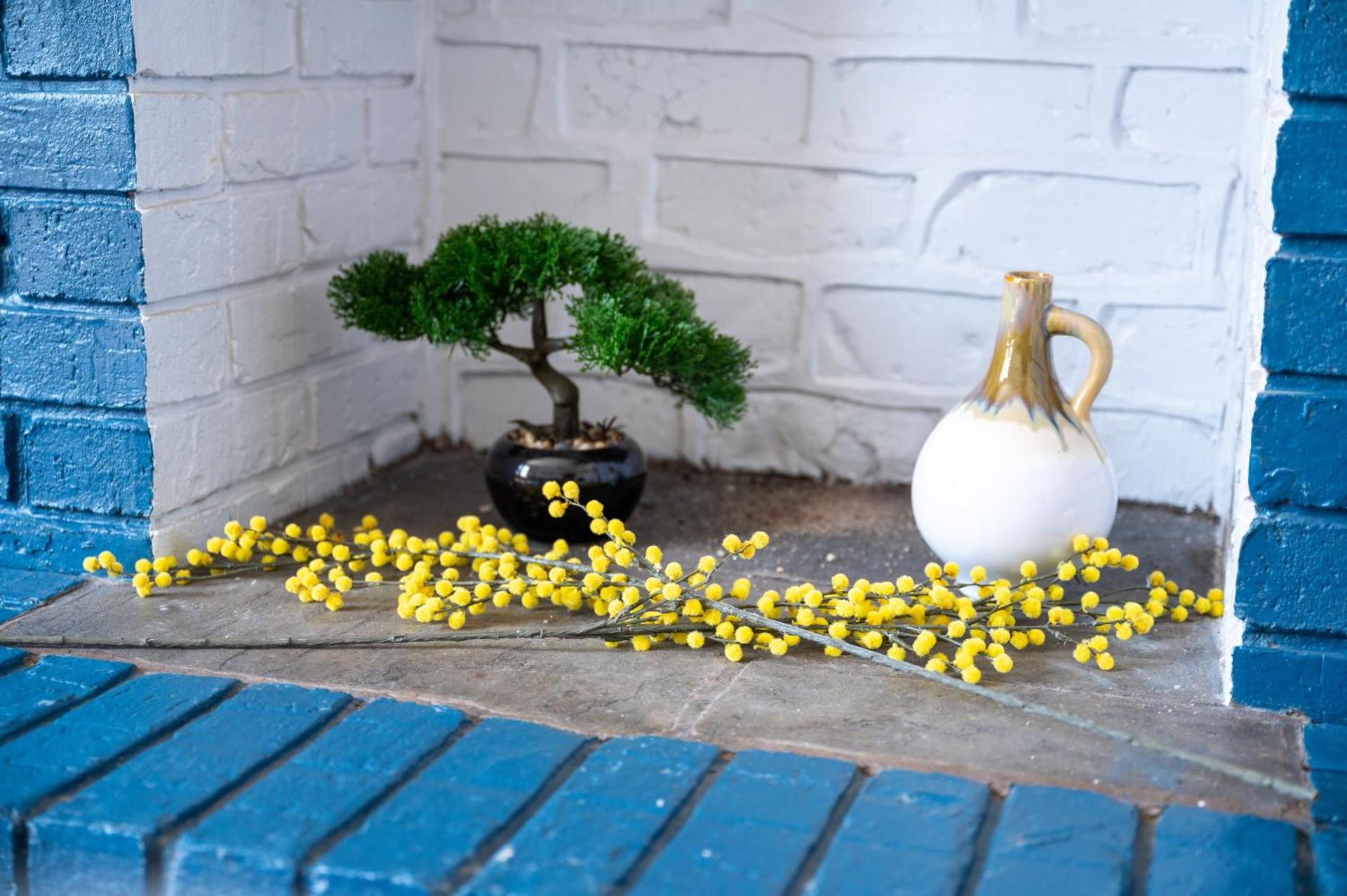 Bifolds, enclosed garden. Southport character home