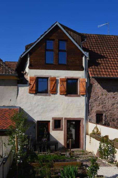 Au cœur du vignoble Alsacien