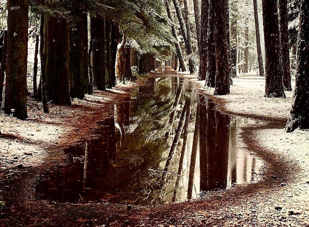 Archontiko Nikolopoulou