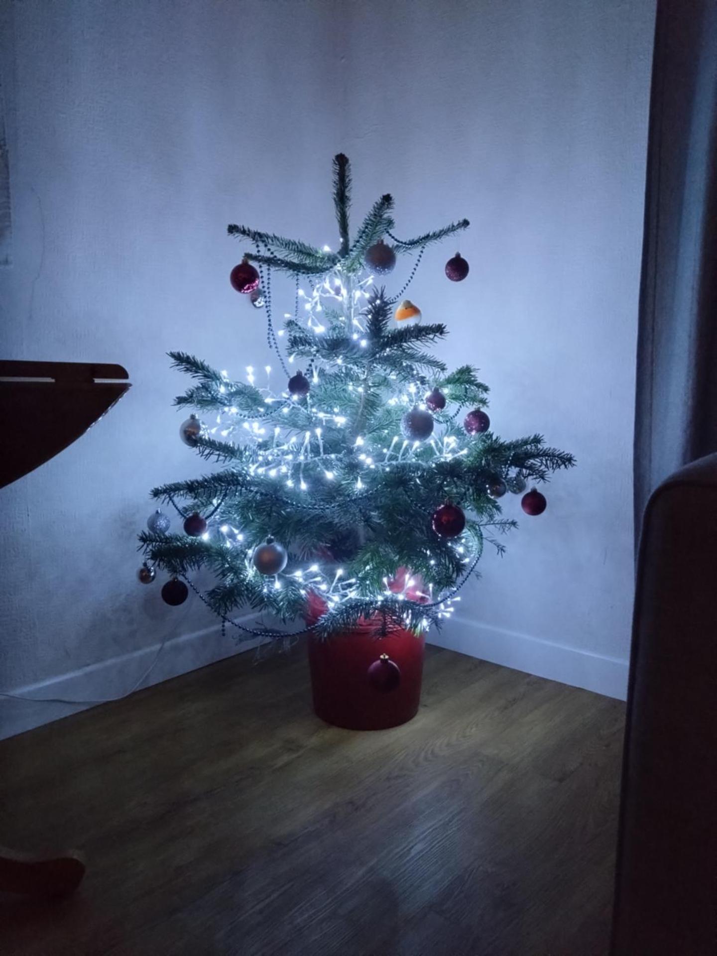 Avryn - Delightful 3 bedroom cottage with stunning vistas